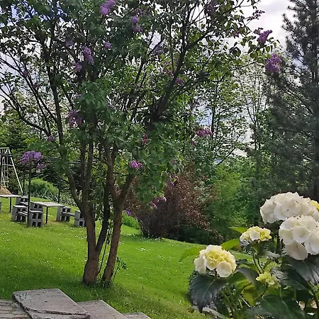 Owca Czarna 3* بوكافينا تترايسكا