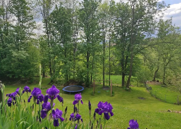 Bed and breakfast Owca Czarna Bukowina Tatrzańska