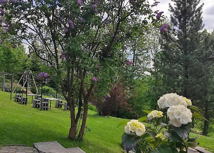 Owca Czarna 3* Bukowina Tatrzańska